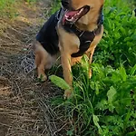 Nyaraló Biobauernhof Kraeuter Haimburgerberg