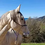 Biobauernhof Kraeuter Nyaraló *