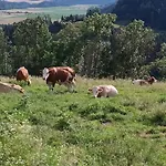 Nyaraló Biobauernhof Kraeuter Haimburgerberg