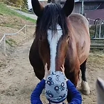 Biobauernhof Kraeuter Haimburgerberg