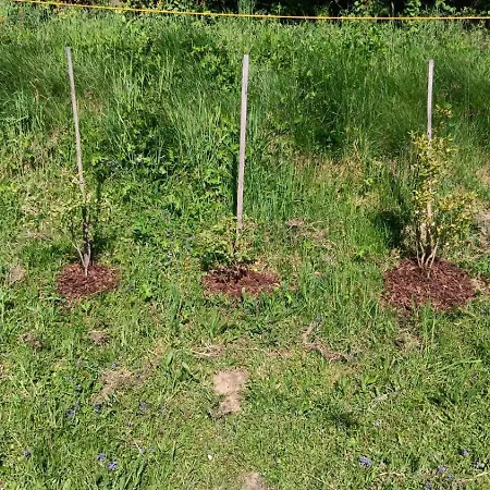 Biobauernhof Kraeuter * Haimburgerberg