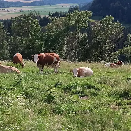 Hébergement de vacances Biobauernhof Kraeuter Haimburgerberg