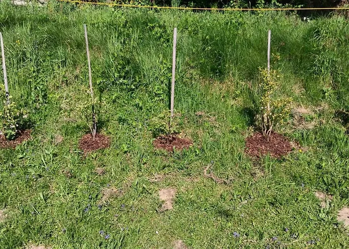 Biobauernhof Kraeuter * Haimburgerberg