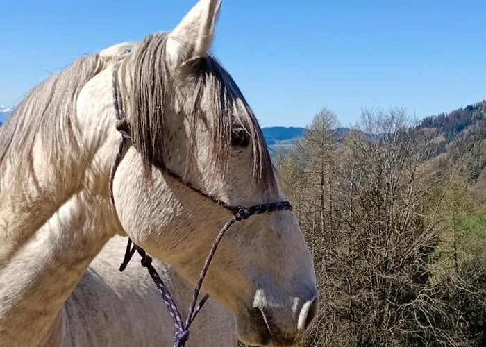 Biobauernhof Kraeuter Dom wakacyjny *