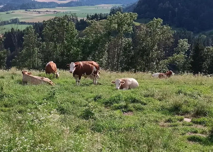 Dom wakacyjny Biobauernhof Kraeuter Haimburgerberg