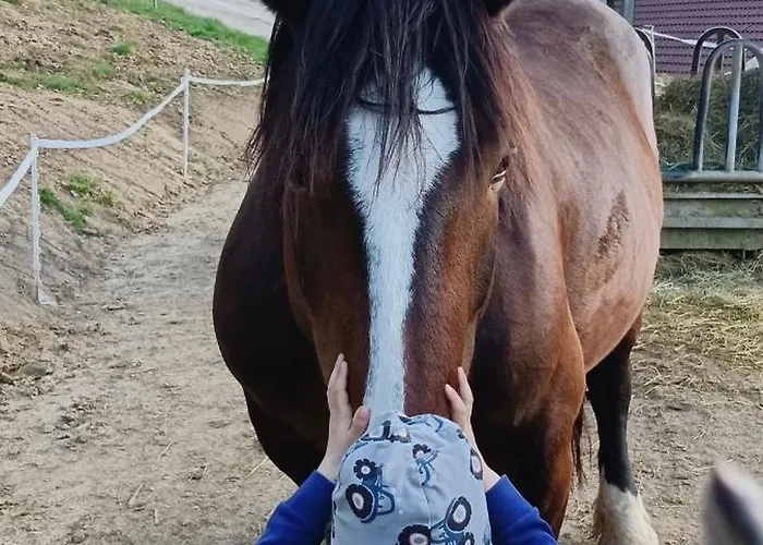 Biobauernhof Kraeuter Haimburgerberg